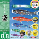 こいのぼり 庭 庭園用 徳永 鯉のぼり 家紋 名前入可能 セット各種 ポール別売 豪セット 8m8点セット金彩弦月之鯉 豪 ガーデン用 撥水加工鯉 ポリエステル...