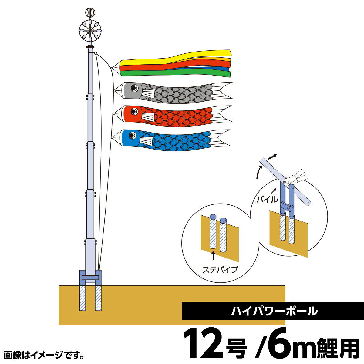 2020ǯ  Τܤ ñ Τܤ   󥰰  ϥѥݡ12 Τܤ ͷ