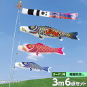 こいのぼり 鯉のぼり 庭園用 庭用 村上2020年 新作鯉幟 ガーデンセット 家紋入れ 名前入れ お顔写真入れ可能 セット各種 翔龍吹流し 金太郎付 矢車 ロー...