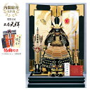 五月人形 わんぱく息子のよくばりセット 鎧 鎧兜 鎧平飾り 鎧飾り 甲冑 子供の日 端午の節句 5月人形送料無料 宝童監修 胴丸王者鎧 二曲飾り 甲州印伝革使用...