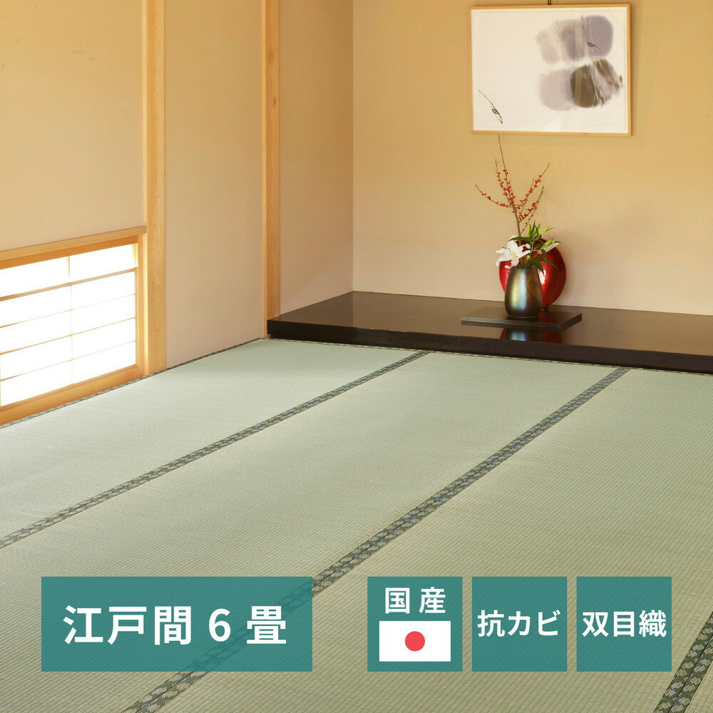 国産い草カーペット 天草 江戸間 6帖(261×352)