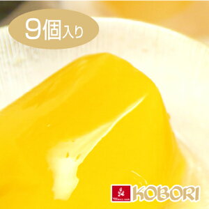 フルーツジェリー(9個入)