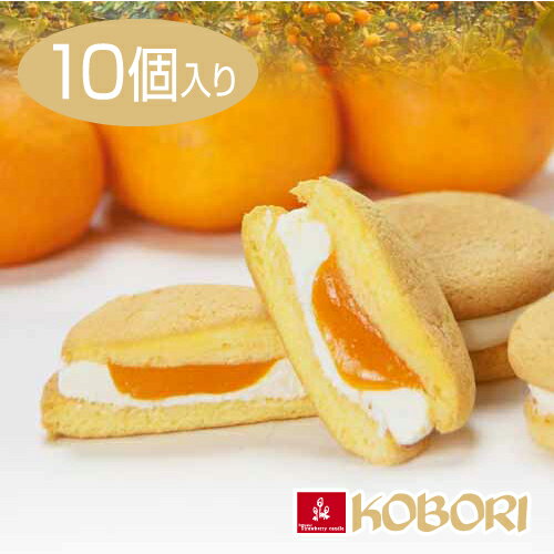 【ふくい若狭2013】敦賀ふわっセ 1箱／10個入 生クリーム・カスタードお菓子 洋菓子 米粉 コシヒカリ みかん 小麦粉不使用サンド ゼリー 人気 贈答 敦賀