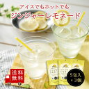 期間限定1,000円ポッキリ！【送料無料】ジンジャーレモネードSP 3個セット　ジュース 高知県産生姜 瀬戸内産レモン ホット アイス 粉末飲料 個包装 スティック 粉末清涼飲料 甘酸っぱい 便利 簡単 ホット アイス おうち時間 メール便 めーる便