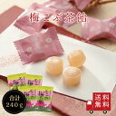 【送料無料】不二の梅こぶ茶飴 60g 4個セット お菓子 お試し おうち時間 プレゼント 手土産 お取り寄せグルメ メール便 めーる便 1000円ポッキリ 梅昆布茶 梅こぶ茶 飴 あめ