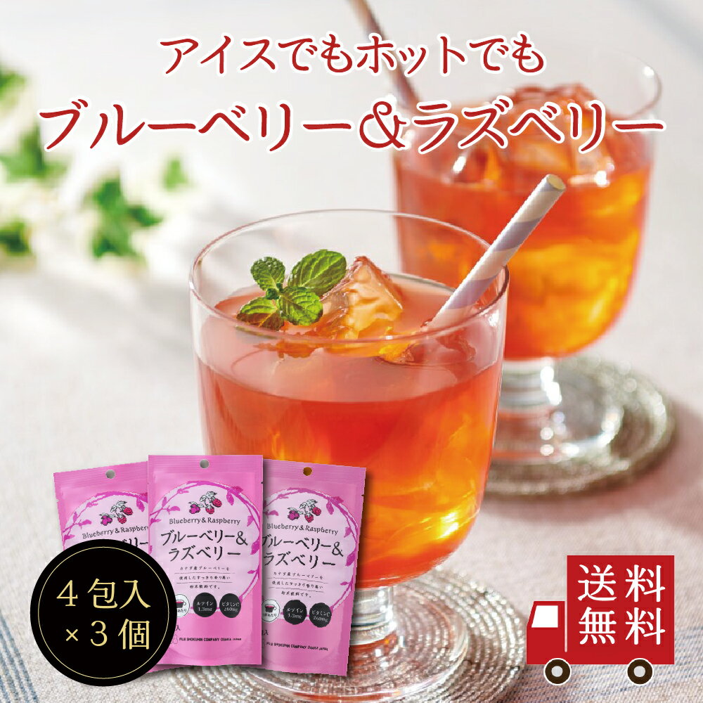 【送料無料】ブルーベリー＆ラズベリーSP（13g ×4包） 3個セット　粉末飲料 個包装 スティック ジュース ホットでも アイスでも 粉末清涼飲料 便利 簡単 おうち時間 ブルーベリー ラズベリー 甘酸っぱい メール便 送料無料