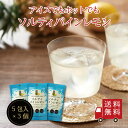 【送料無料】ソルティパインレモンSP 3個セット　ジュース パイナップル レモン 粉末飲料 個包装 スティック 塩分補給 粉末清涼飲料 甘酸っぱい 便利 簡単 ホット アイス おうち時間 メール便 めーる便 送料無料