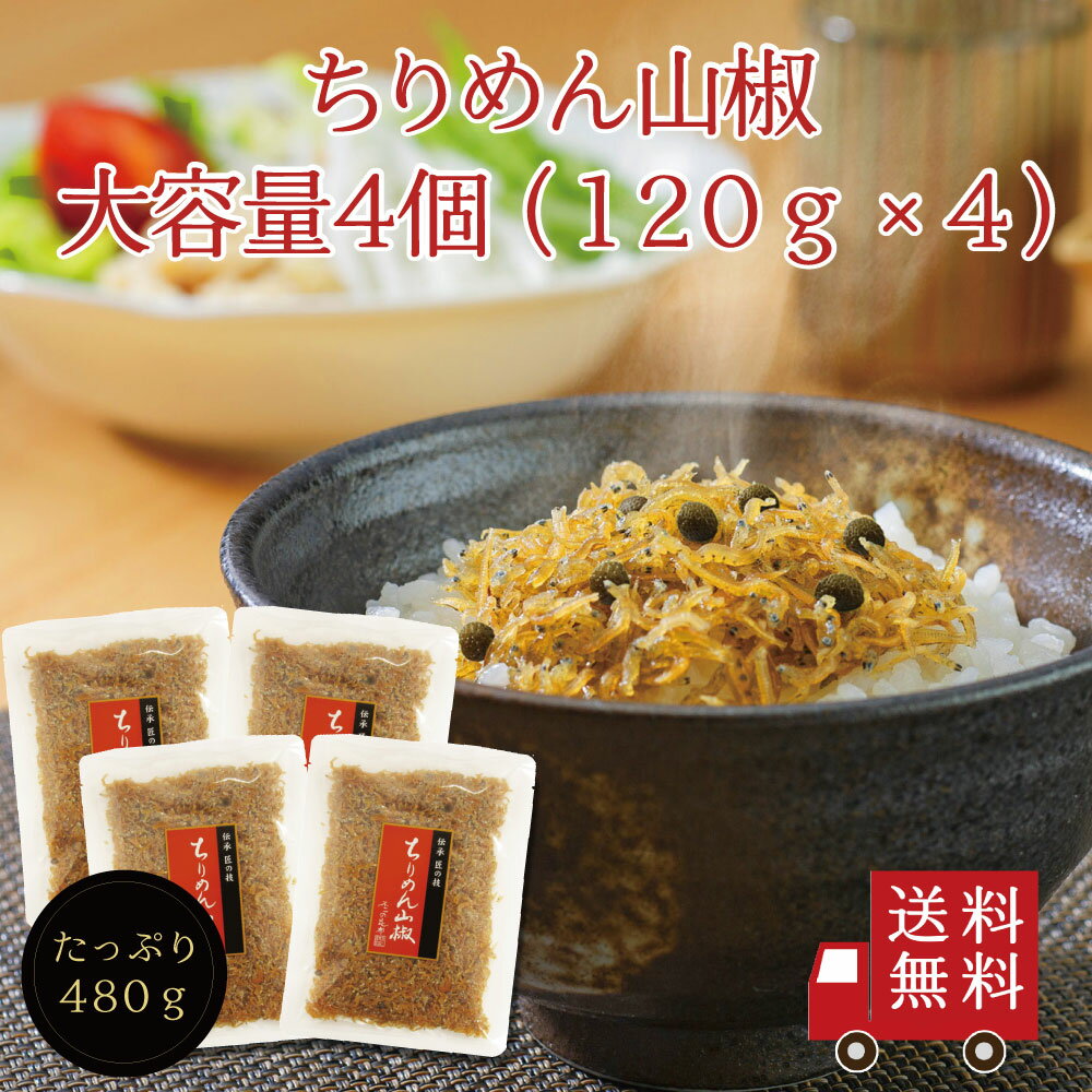 【送料無料】ちりめん山椒 120g 4個セット【 R-4 】　まとめ買い ちりめん ちりめん山椒 山椒ちりめん 佃煮 惣菜 お…