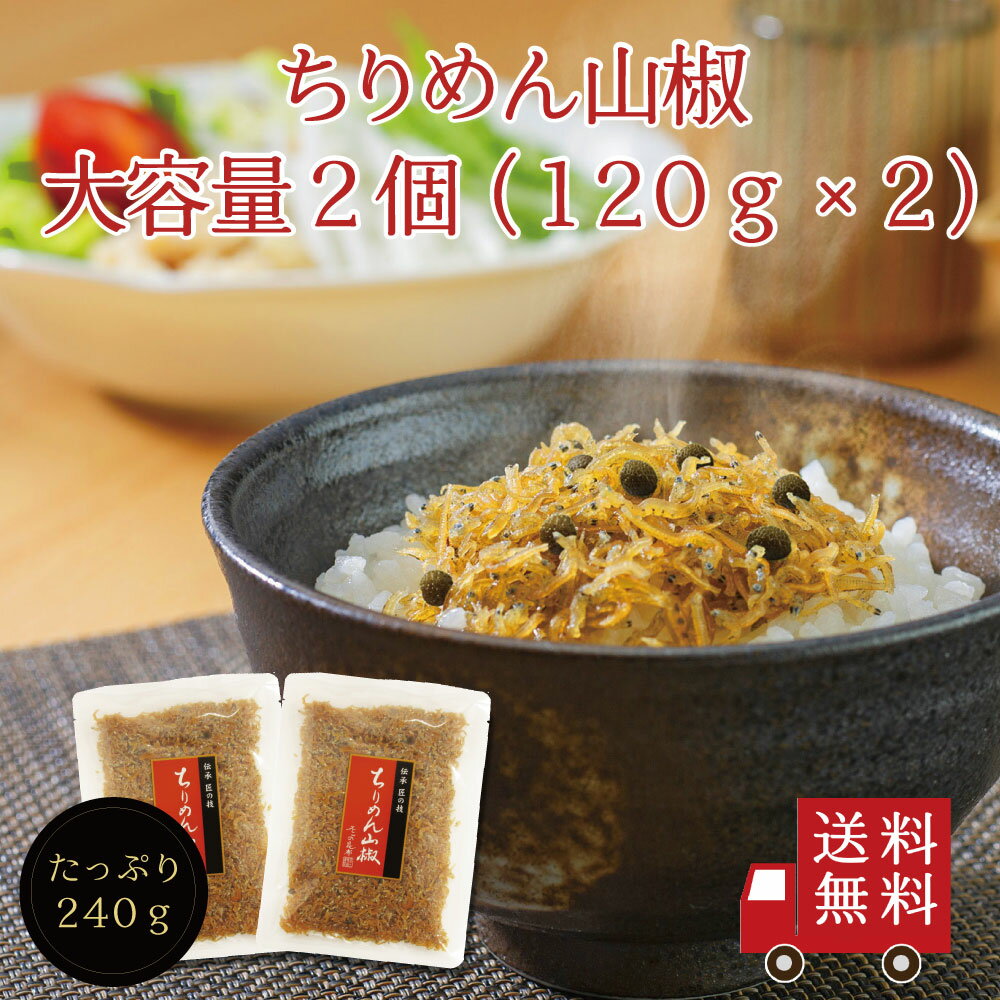 ちりめん山椒 【送料無料】ちりめん山椒120g×2個セット【 R 】　ちりめん ちりめん山椒 山椒ちりめん 佃煮 惣菜 おにぎり ふりかけ お弁当 メール便 めーる便 お試し おうちごはん ご飯のお供 ギフト 大容量 帰省土産 米 お米　キャンプ バーベキュー 母の日 父の日 おつまみ 酒の肴