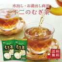 ＜ポイント10倍＞【送料無料】不二のむぎ茶 徳用袋 ティーパック 10g×48袋 2個セット　麦茶 国産 国内産 大麦 ノンカフェイン カフェインゼロ ティーバッグ 水出し 水だし 煮だし お茶 熱中症対策 水分補給