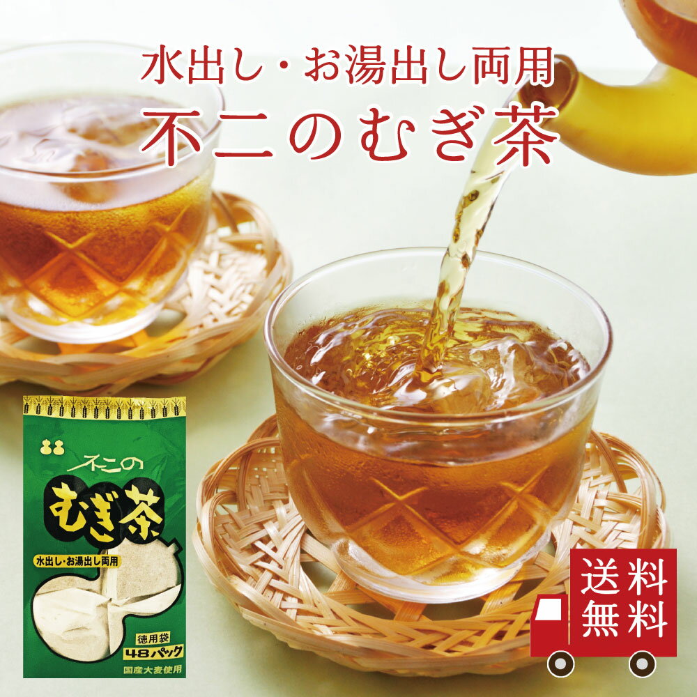 【送料無料】不二のむぎ茶 徳用袋 ティーパック 10g×48袋　麦茶 国産 国内産 大麦 ノンカフェイン カフェインゼロ ティーバッグ 水出し 水だし 煮だし お茶 1000円ぽっきり 熱中症対策 水分補給