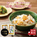 【送料無料】湯葉山椒混ぜご飯2合用 2個セット おにぎり ふりかけ お弁当 混ぜご飯 混ぜご飯の素 まぜごはん 時短 簡単 便利 湯葉 実山椒 昆布 鰹出汁 お...