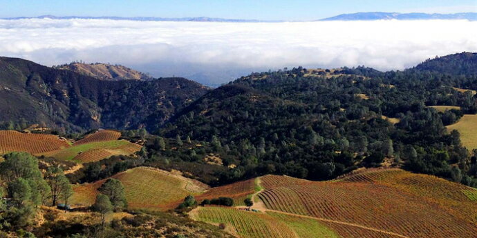 カレラ マウント ハーラン ピノ・ノワール リード ヴィンヤード 2020Calera Mt.Harlan Reed Vineyard Pinot NoirNo,116479