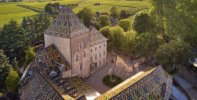 フィリップ アルディ ブルゴーニュ コート ドール ブラン クロ ド ラ モノポール 2019375mlハーフサイズPhilippe le Hardi Bourgogne Cote D'or Chardonnay Clos de la Chaise Dieu Blanc Monopole【正規品】No.115398 kobusiya-10018290 古武士屋 サンプル画像2