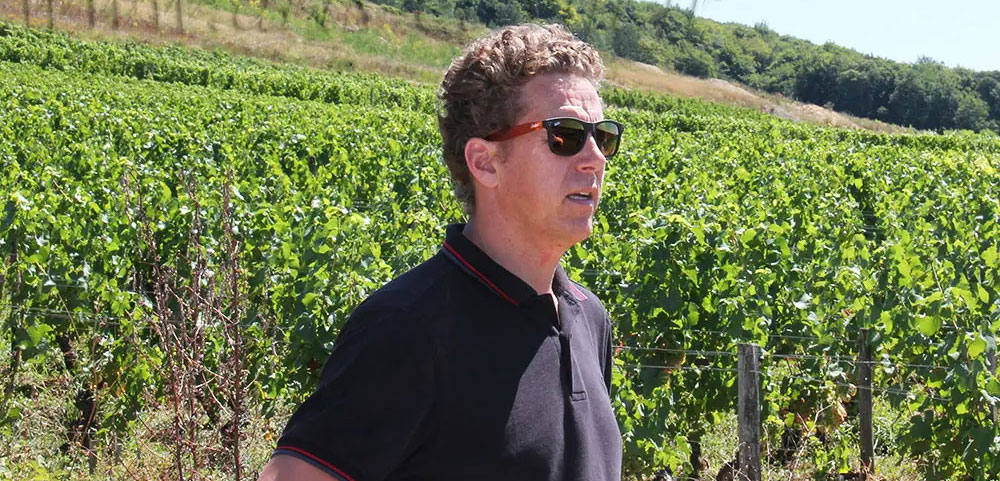 レ テール ド フィレアンドレ バイ ダヴィド デュバンブルゴーニュ アリゴテ 2022Les Terres de Phil?andre by David DubandBourgogne Aligot?【正規品】No.118341 kobusiya-10021014 古武士屋 サンプル画像2