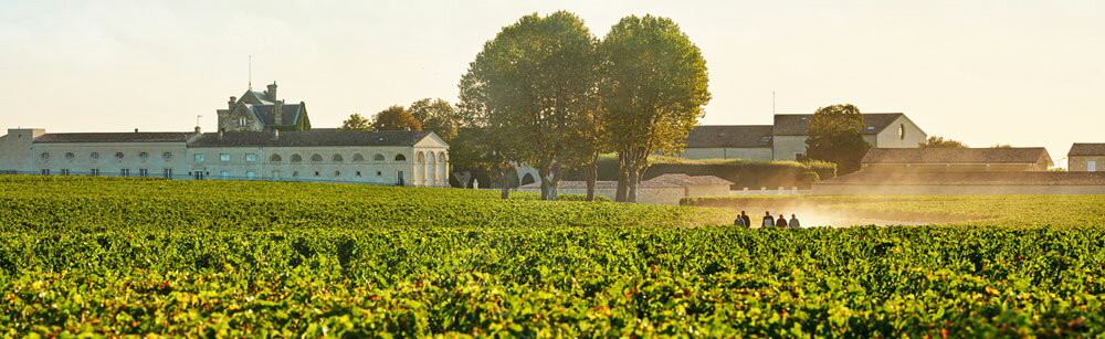 ����ȡ� �ࡼ�ȥ� �����ȥ����(�������㥤���) 2022Chateau Mouton RothschildNo.98737