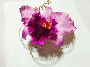 コサージュ/入学式、卒業式、発表会、グループ、まとめ買い、手作り、戴帽式、祭典、結婚式、お祝い、プレゼント、髪飾り、ヘアアクセサリー、式、大量、大人数、花、造花