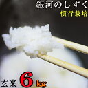 銀河のしずく ◆慣行栽培◆ 玄米 6kg （2kg×3袋） 雫石町産 産地直送 窒素ガス充填梱包 米 送料無料