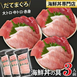 【送料無料】 新鮮 海鮮丼の具 まぐろづくし 3人前 ／ 刺身 魚介 海の幸 だてまぐろ まぐろ マグロ 鮪 本マグロ 本まぐろ 本鮪 大トロ 中トロ トロ 赤身 国産 宇和海 自宅用 家庭用 海鮮丼 寿司 寿司ネタ 冷凍刺身 流水解凍 簡単調理 簡単 時短料理 時短 手軽 岩手県 滝沢市