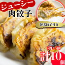 【送料無料】冷凍生餃子 肉餃子 海老餃子 合計10個 ／ 餃子 ぎょうざ ギョウザ ギョーザ 中華惣菜 中華 総菜 惣菜 岩手県 雫石町 点心 焼き餃子 水餃子 手作り お取り寄せ おかず おつまみ 時短 時短調理 簡単調理 簡単 便利 冷食 冷凍食品 国産 グルメ 【みたけ飯店の餃子】