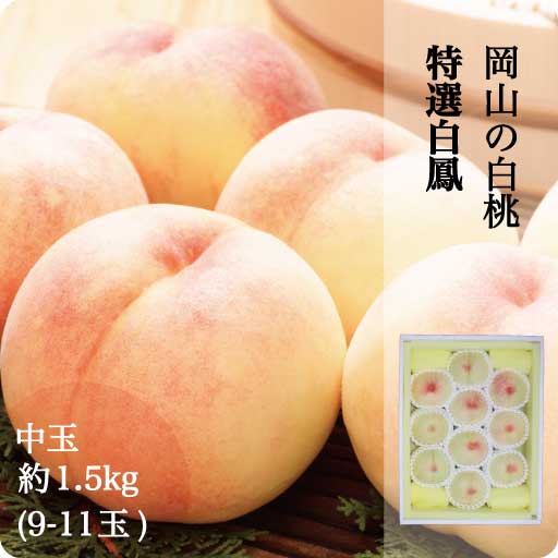 桃 予約販売 【送料無料】 桃 白桃 岡山 白鳳 ギフト 岡山 白桃 中玉 9-12玉入り 約1.5kg 取り寄せ 7月中旬ごろから発送予定