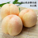 桃 白桃 本白桃 ギフト お中元 家庭用 訳あり 約800g 3玉入り 約1.5kg 約5-6玉入り 1玉 約300-350g 取り寄せ 岡山県産 送料無料 収...