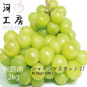 シャインマスカット 家庭用 約2kg 2-4房程 岡山 お試し用 種無し 皮ごと食べれる 人気 マスカット 甘い 農家直送 もぎたて発送 ※発送まで時間がかかる場合があります。
