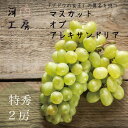 送料無料 ギフト 特秀2房 マスカット・オブ・アレキサンドリア 約1kg 本場 岡山 マスカット 農家直送 Muscat ※発送まで時間がかかる場合があります。9月8日ごろから発送予定