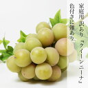 期間限定 【送料無料】 家庭用 訳あり クイーンニーナ 2房 約1kg マスカット ぶどう 種なし ブドウ 果物 フルーツ やみつき 止まらない 着色に難あり 岡山県赤磐市産