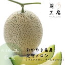 メロン 家庭用 訳あり 足守メロン アールスメロン マスクメロン 岡山県産 6玉入り 1玉 約1.0-1.2kg 糖度14度以上 販売中 農家直送 もぎたて発送 melon