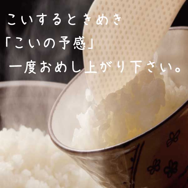 【送料無料!!一部の地域を除く】玄米 白米 晴れの国岡山 恋の予感 岡山の米 【約2kg】 白米【約1.8kg】 販売中 農家直送