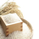 玄米 白米 晴れの国岡山 朝日米 あさひ 岡山を代表する米 玄米 約30kg 白米 約27kg 産地直送