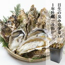 牡蠣 殻付き 一斗缶 約100個前後 約10kg 日生 ひなせ カキ 家庭用 訳あり 岡山 日生の牡蠣 Oyster 加熱用 殻付き牡蠣 取り寄せ 産地直..