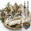 牡蠣 殻付き 半缶 約50個前後 約5kg 日生 ひなせ カキ 家庭用 訳あり 岡山 日生の牡蠣 Oyster 加熱用 殻付き牡蠣 取り寄せ 産地直送 収..