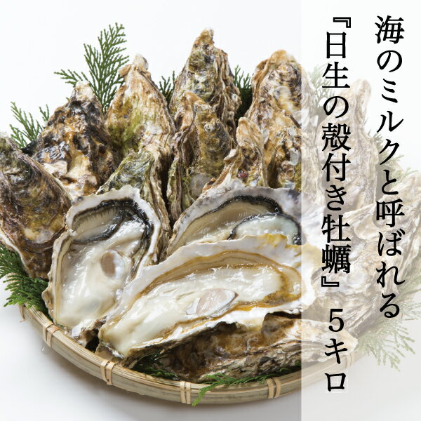牡蠣 殻付き 約5kg 約70-90個前後 小ぶり 日生 ひなせ カキ 日生の牡蠣 Oyster 加熱用 殻付き牡蠣 取り寄せ 産地直送 収穫後即日発送 送料無料 北海道,沖縄県はチルド代+675円掛かります 今年はオススメです(水曜日は発送が休みになります)のサムネイル