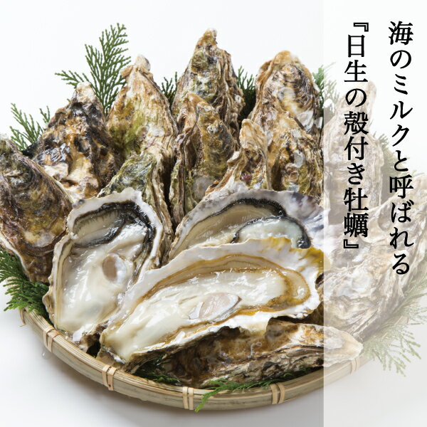 牡蠣 殻付き 約5kg 約60-75個前後 日生 ひなせ カキ 日生の牡蠣 Oyster 加熱用 殻付き牡蠣 取り寄せ 産地直送 収穫後即日発送 送料無料 北海道,沖縄県はチルド代+675円掛かります 今年はオススメです(水曜日は発送が休みになります)のサムネイル