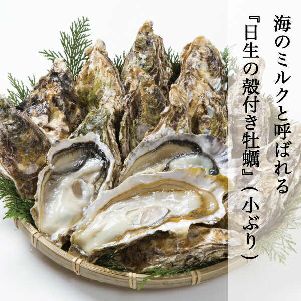 牡蠣 殻付き 約3kg 約40-54個前後 小ぶり 日生 ひなせ カキ 日生の牡蠣 Oyster 加熱用 殻付き牡蠣 取り寄せ 産地直送 収穫後即日発送 送料無料 北海道,沖縄県はチルド代+360円掛かります 今年はオススメです(水曜日は発送が休みになります)のサムネイル