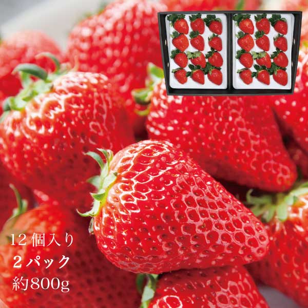 ギフト いちご 【送料無料】 やよいひめ 苺 イチゴ 2パック 24個 約800g 晴れの国 岡山 strawberry 取り寄せ 産地直送 収穫後即発送　土耕栽培 いちご ギフトのサムネイル