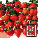 ギフト おいCベリー 苺 いちご イチゴ 1パック 12個入り 約400g 晴れの国 岡山 strawberry 産地直送 収穫後即発送