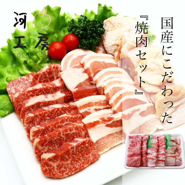 焼肉セット 牛 豚 鶏セット 和牛カルビ 160g 国産豚カルビ 200g 国産鶏もも 200g 総重量560g 冷凍