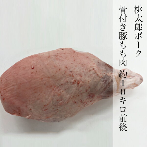 豚肉 骨付きモモ肉 約10kg前後 国産 生肉 岡山県産 桃太郎ポーク 三元豚 ポーク PORK 岡山ブランド やわらかい豚肉 冷凍