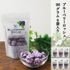 ブルーベリーロッシェ ブルーベリーメレンゲ BLUEBERRY ROCHE 加工品 ロッシェ 自家製 6袋セット (1袋15g) 国産ブルーベリー 岡山県産ブルーベリー使用 OKAYAMA