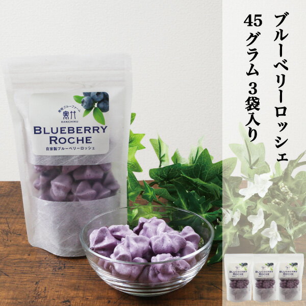 ブルーベリーロッシェ ブルーベリーメレンゲ BLUEBERRY ROCHE 加工品 ロッシェ 自家製 3袋セット (1袋15g) 国産ブルーベリー 岡山県産ブルーベリー使用 OKAYAMA