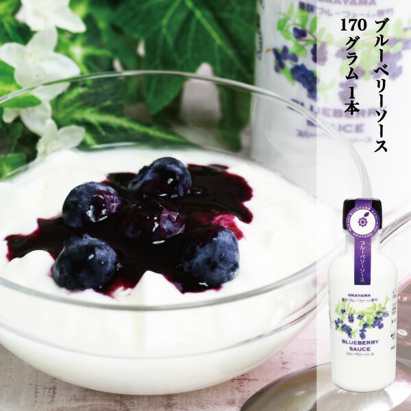 ブルーベリーソース 国産ブルーベリー使用 加工品 ソース 1本 170g 自家製 BLUEBERRY SAUCE 万能ソース 岡山県産ブルーベリー使用