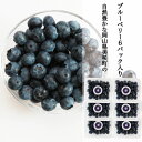 ギフト 送料無料 ブルーベリー 生果 ハイブッシュ系 生ブルーベリー 6パック 約600g 1パック 約100g 国産 岡山県産 フルーツ 果物 クール便 6/17日頃から発送予定 ※北海道、沖縄県への発送は出来ません。