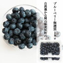 送料無料 ブルーベリー 家庭用 訳あり 生果 生ブルーベリー 無選別 1パック 約250g 国産 岡山県産 フルーツ 果物 クール便 6/17頃から収穫予定 ※北海道、沖縄県への発送は出来ません。