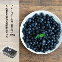 ブルーベリー 加工用 家庭用 訳あり 生果 生ブルーベリー 加工用 1パック 約500g 国産 岡山県産 フルーツ 果物 クール便 ※北海道、沖縄県への発送は出来ません。