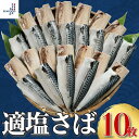 適塩さば 10枚 さば サバ 鯖 冷凍 冷凍サバ 塩サバ 朝食 お弁当 おかず おつまみ 海鮮 ごはん 食品 送料無料 ギフト