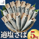 適塩さば 約 5kg さば サバ 鯖 冷凍 冷凍サバ 塩サバ 朝食 お弁当 おかず おつまみ 海鮮 ごはん 食品 送料無料 ギフト 大容量 業務用
