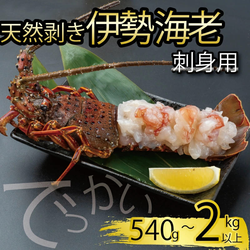 【捌いて発送】でっかい 天然 剥き 伊勢海老 刺身用 540g ～ 2kg 刺身 剥き伊勢海老 新鮮 海鮮 冷凍 送料無料 国産 贈答 プレゼント 簡単 調理 むき身 処理済み お味噌汁 出汁 高知県 須崎市 特大 630g 1kg 家庭用 クリスマス 年末 年始 お正月 商品 お取り寄せ(4)
